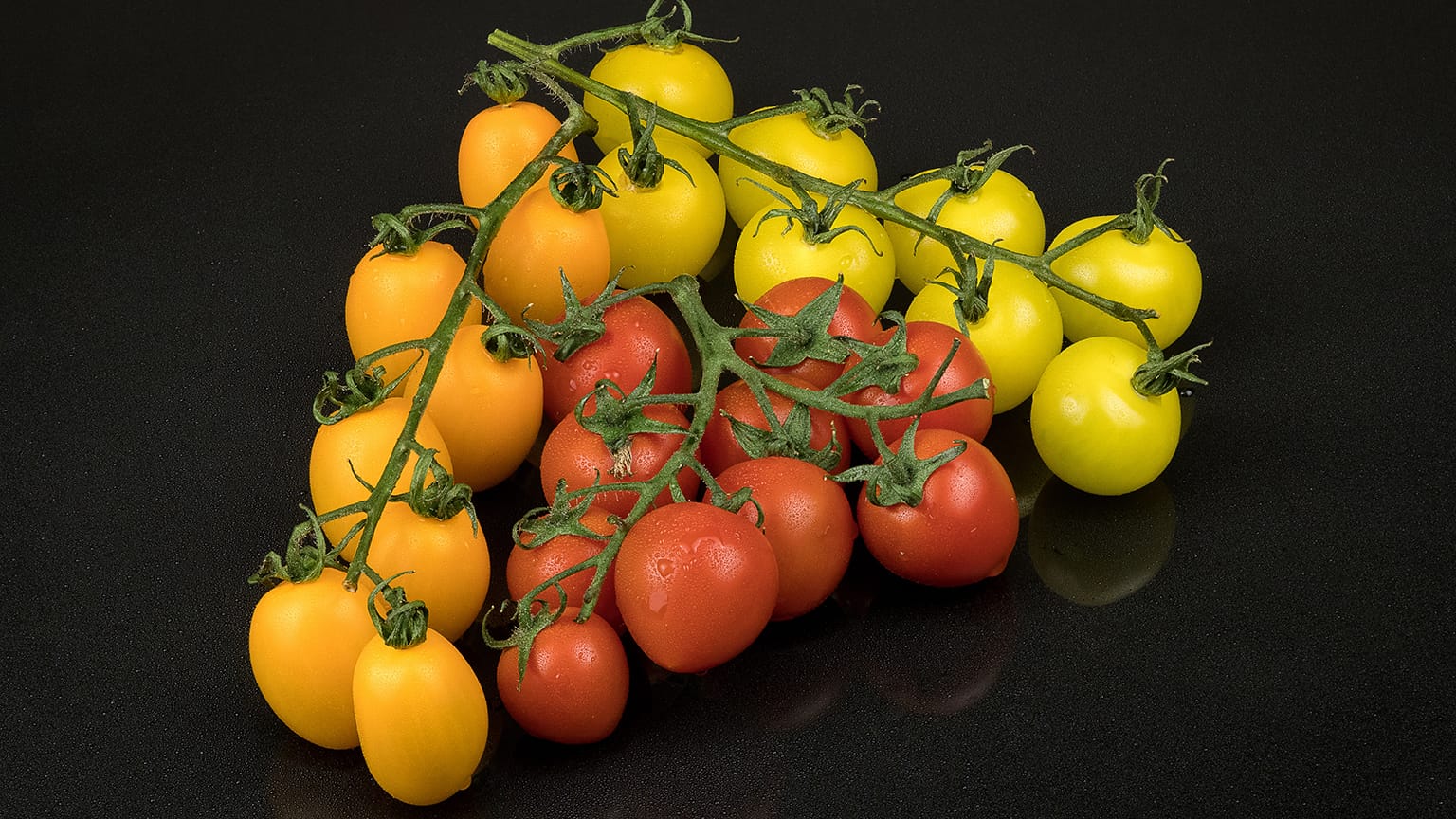 Orange, red, and yellow cherry tomatoes on the vine