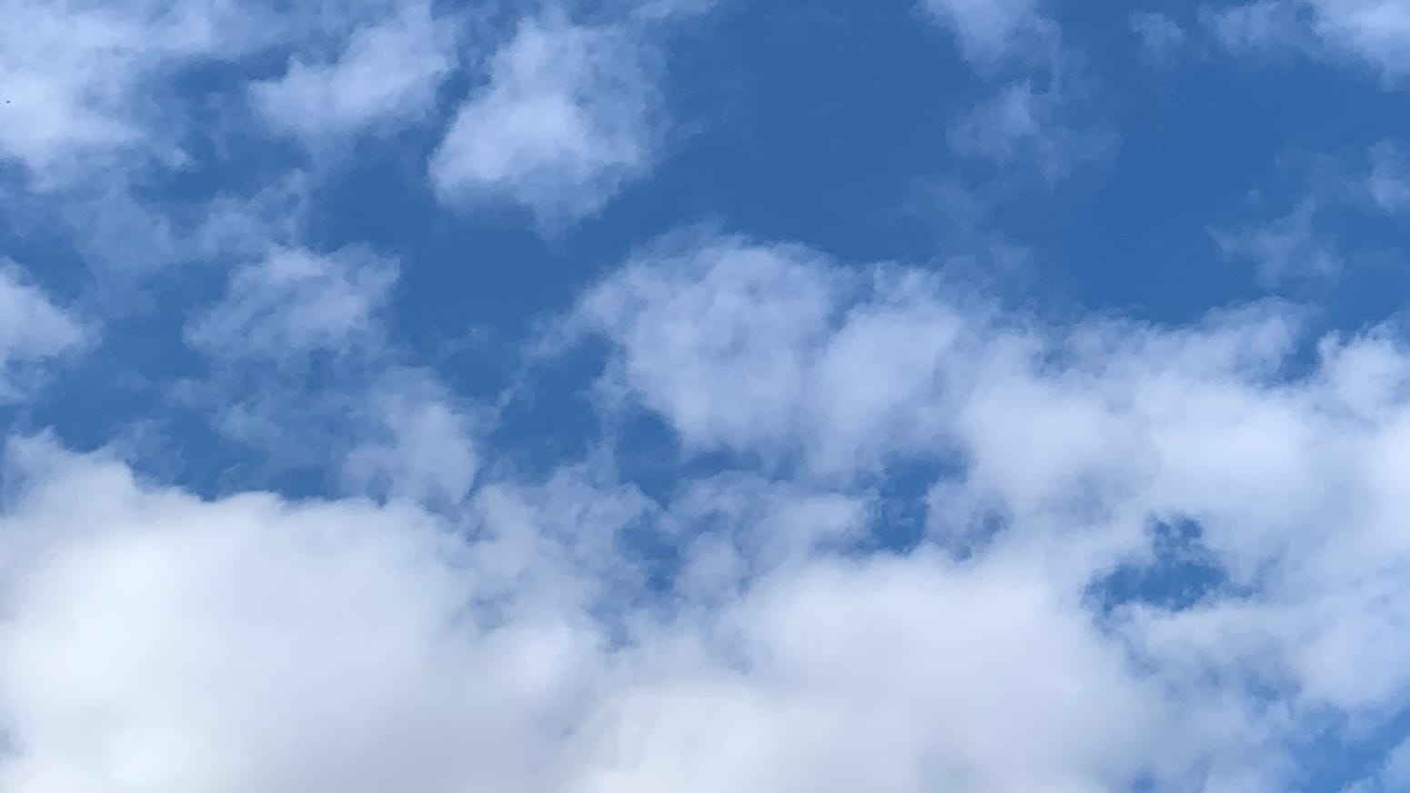 A patch of sky with loosely jumbled white clouds on blue, with clouds predominating toward the bottom of the frame and blue predominating toward the top. 