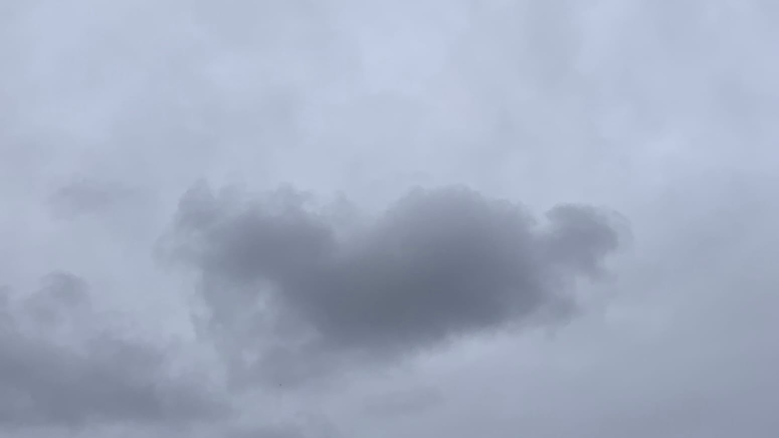 A patch of medium-gray cloudy sky with a very cloud-shaped darker gray cloud in the middle of the frame, just a pretty classic cumulus shape, a little loose, with two big lobes and one smaller little lobe on the end. There's another dark gray bit of cloud in the lower left corner of the frame. 