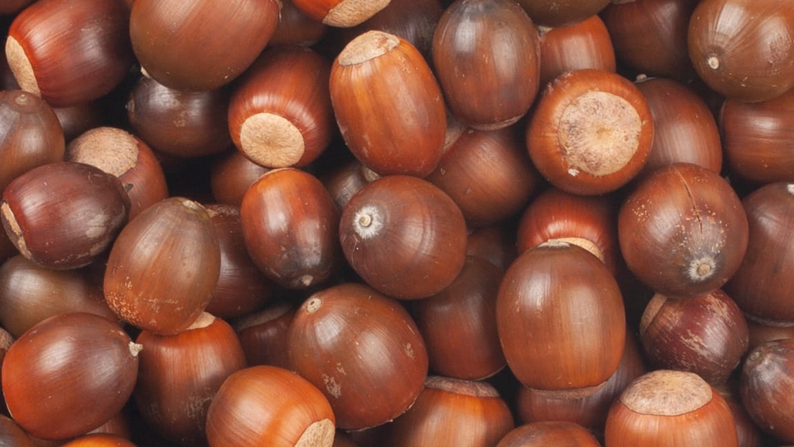 The Stairs, Chapter Two