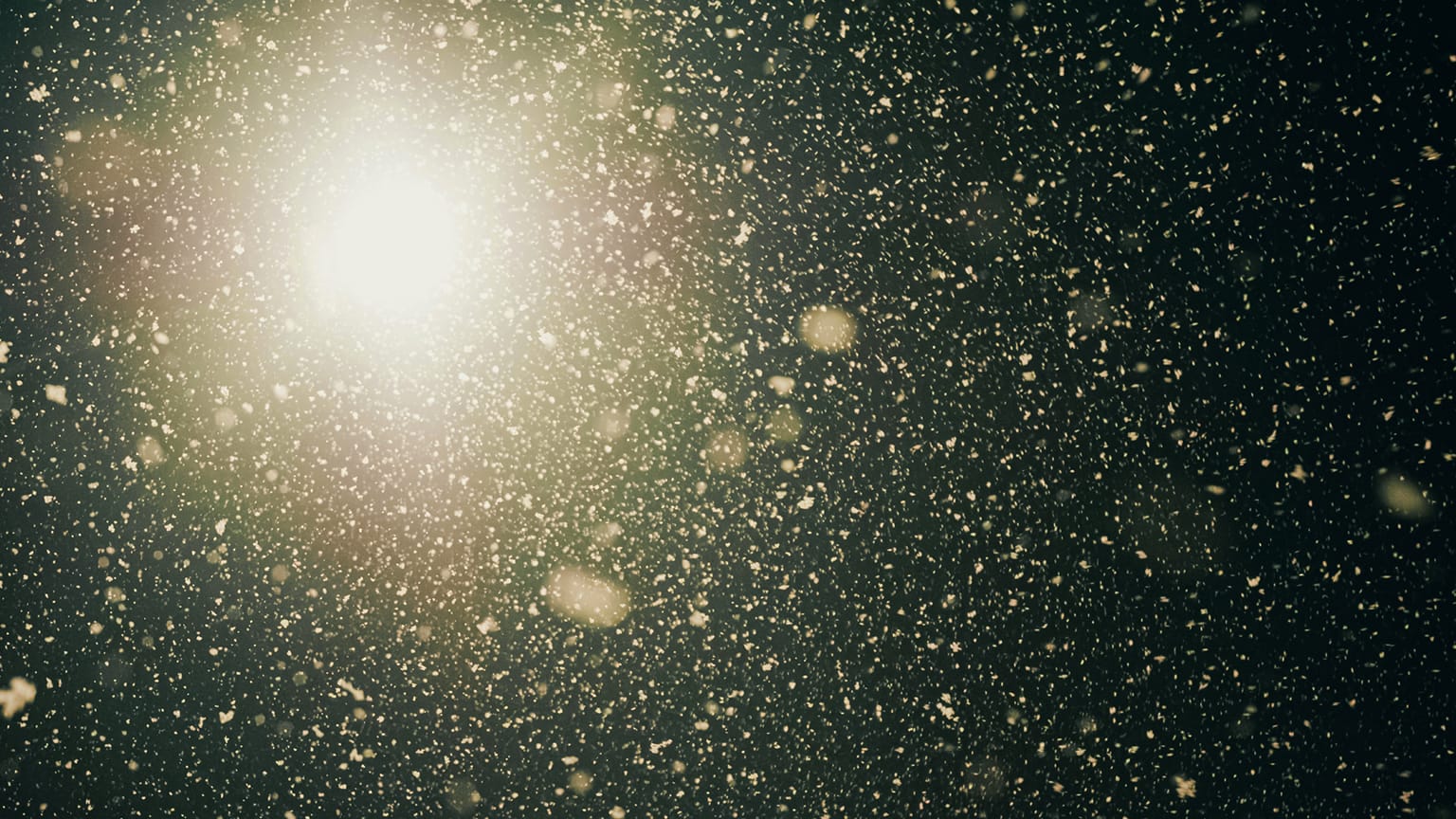 The Stairs, Chapter Five