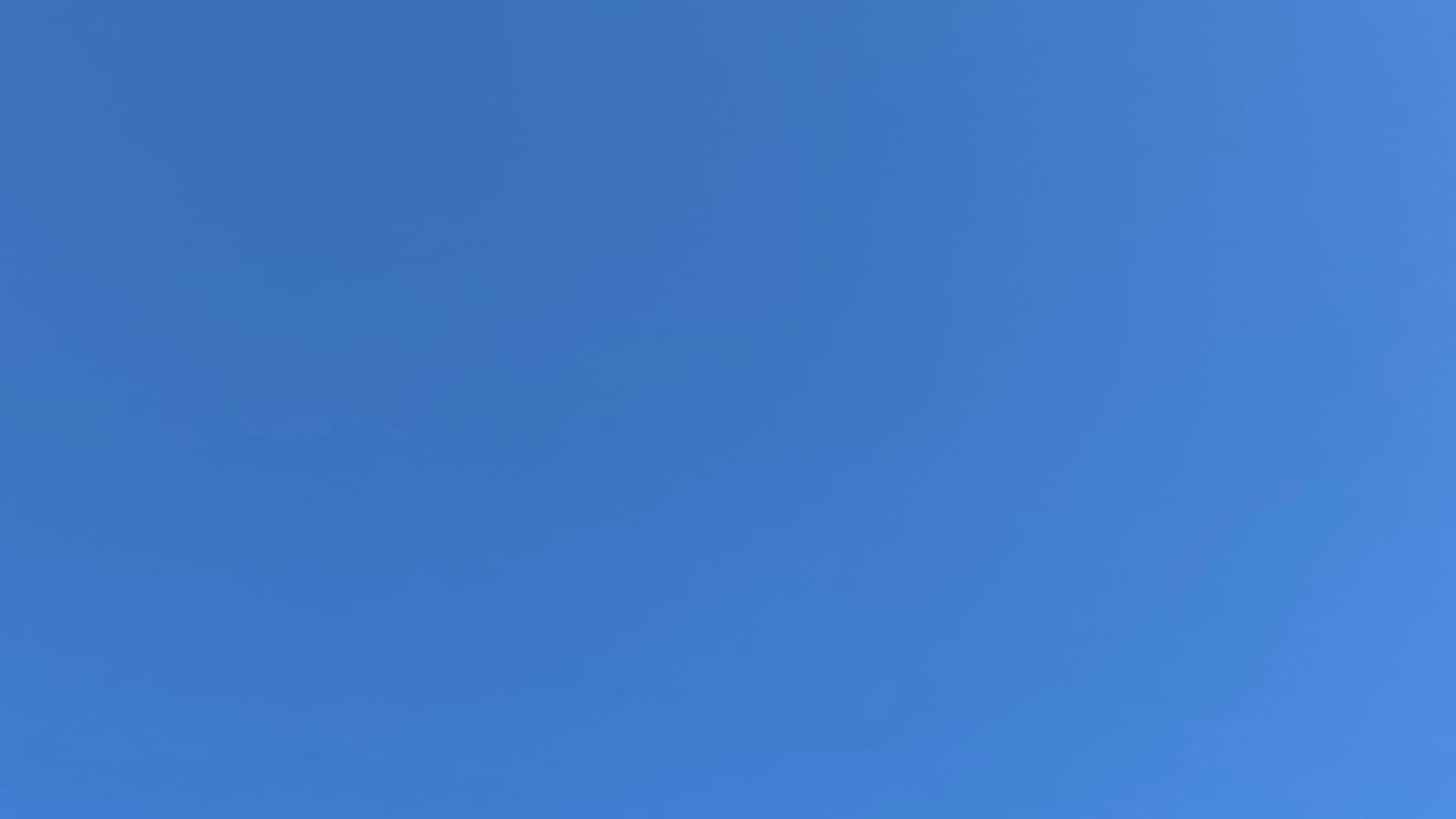 A patch of clear, brilliant blue sky.