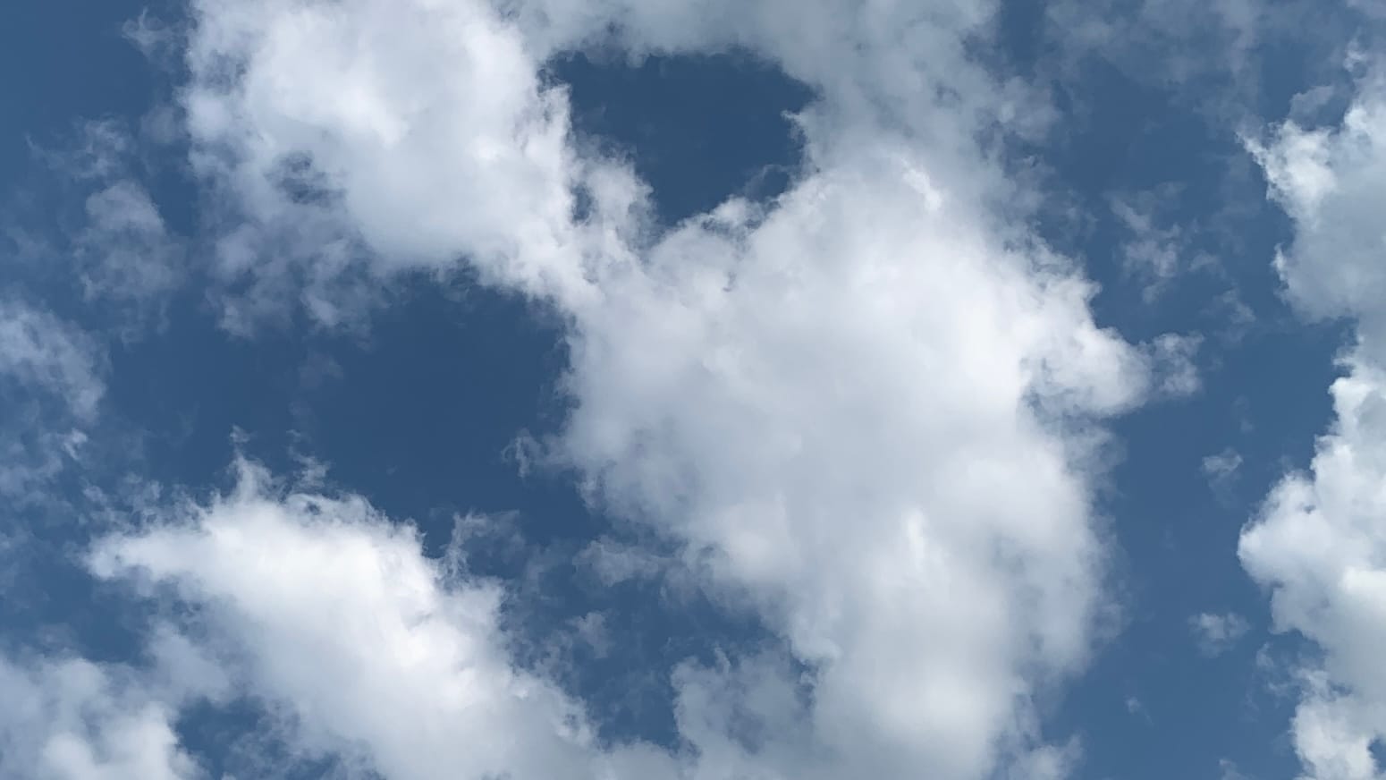 A patch of sky divided between very blue sky and very white clouds making complicated intrusions and voids against each other. 