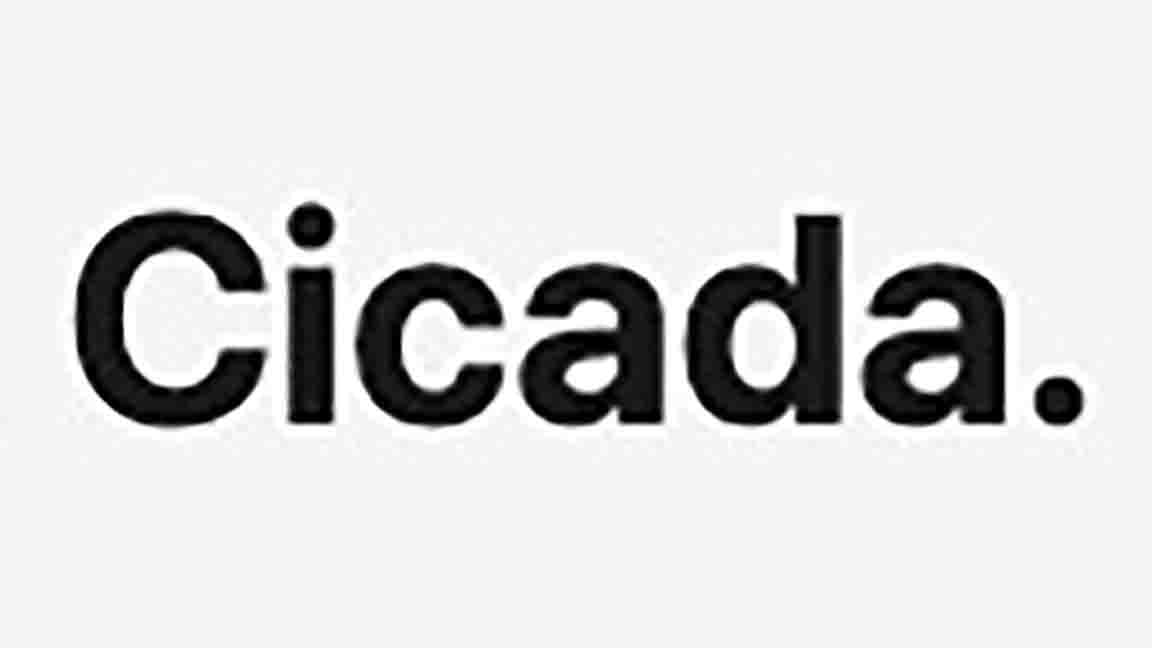 MR. WRONG: CICADA