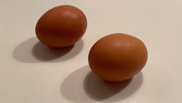 Two brown eggs