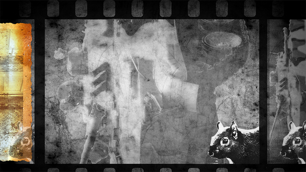 FRAMES OF FILM RUNNING SIDEWAYS - DIFFERENT THINGS IN EACH FRAME - A MILITARY TANK - YET A SQUIRREL PERSISTS IN EACH FRAME 