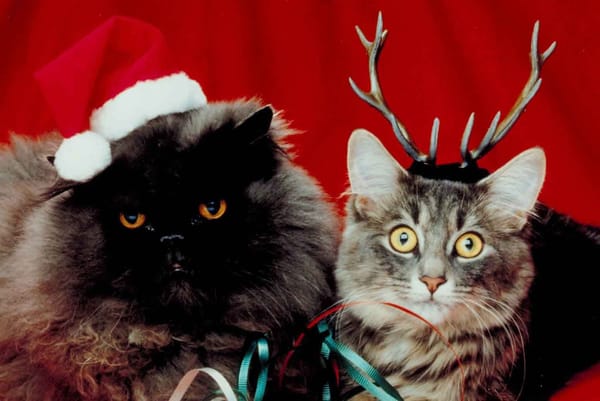 Indignity Vol. 1, No. 51: Bah Rum Pum Pum Humbug!